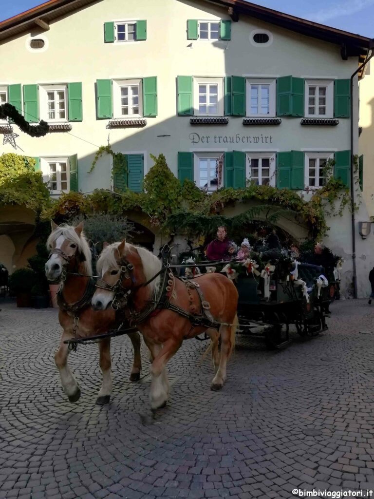 Carrozza con cavalli a Bressanone