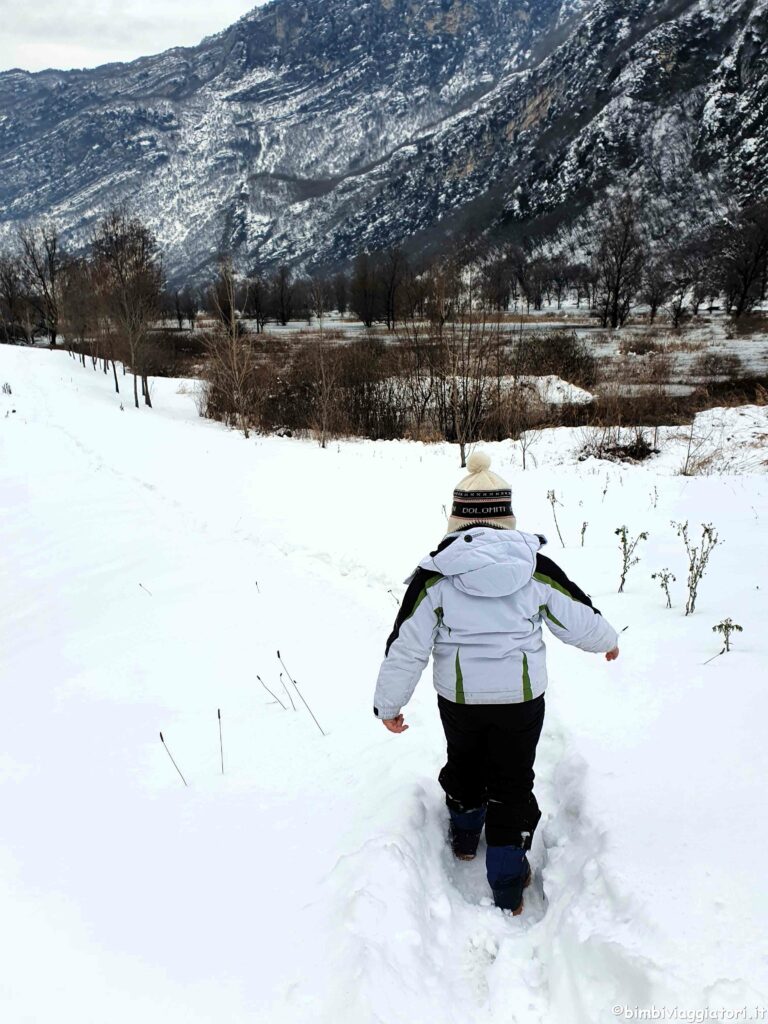 Passeggiare nella neve