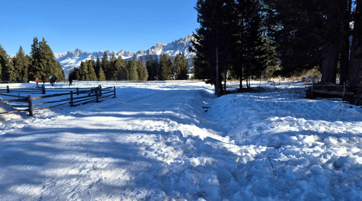 Vacanze sulla neve in Trentino per famiglie