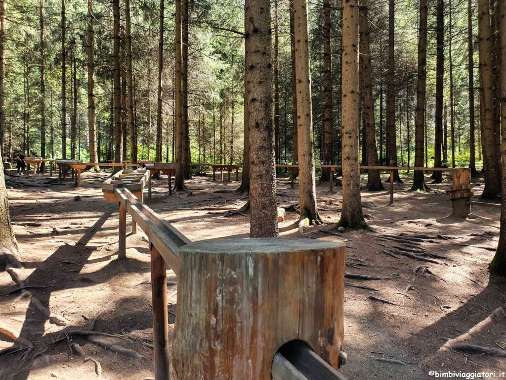 Bosco delle biglie alle Cascate di Riva